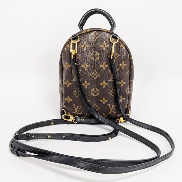 SOLD Louis Vuitton Palm Springs Mini Backpack - Picture 2 of 9